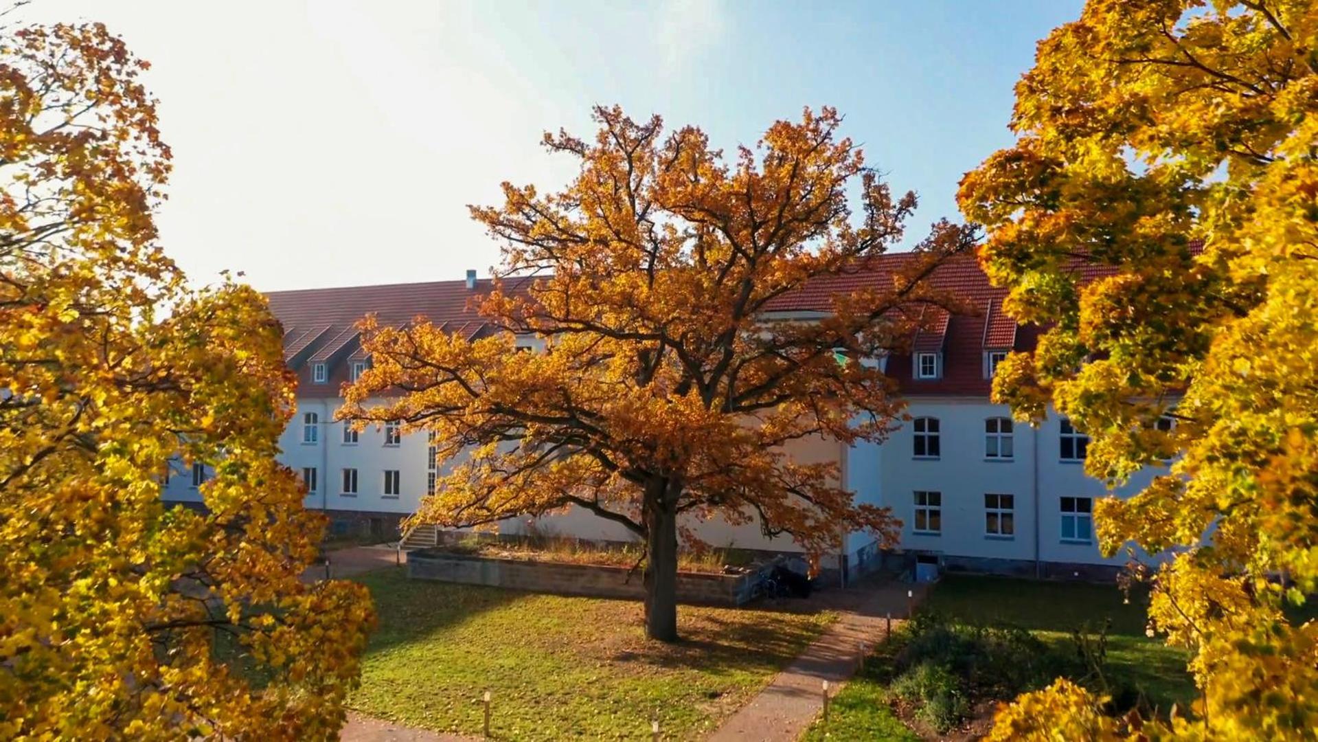 Apartment Parkresidenz Lychen, 10