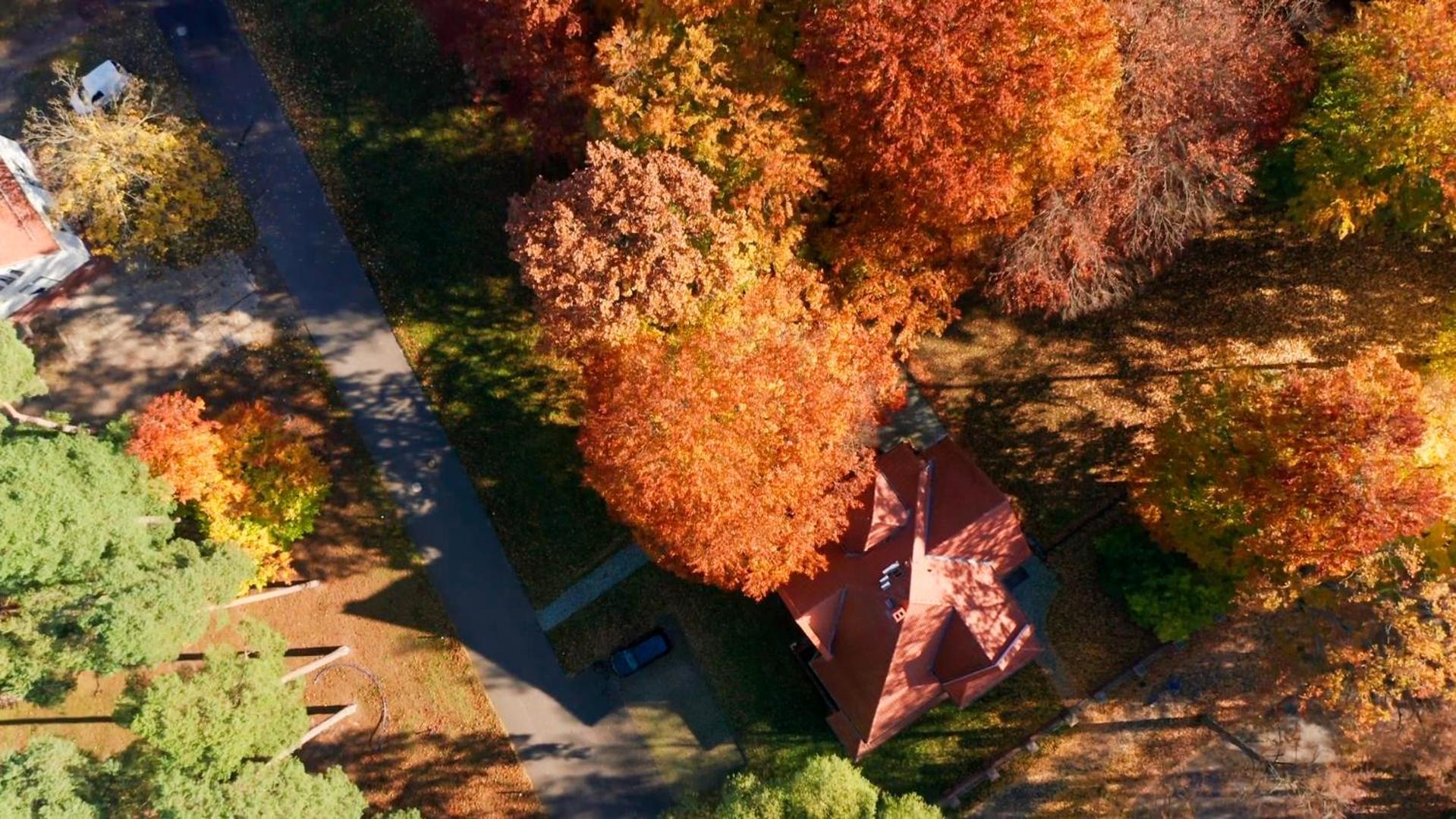 Parkresidenz Lychen, 10 * Lychen